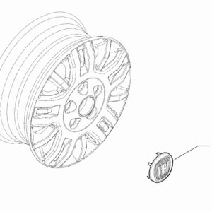60mm caps for fiatducato